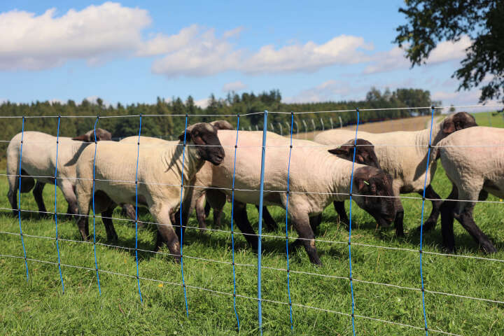 AKO Schafsnetz TitanNet Premium Plus